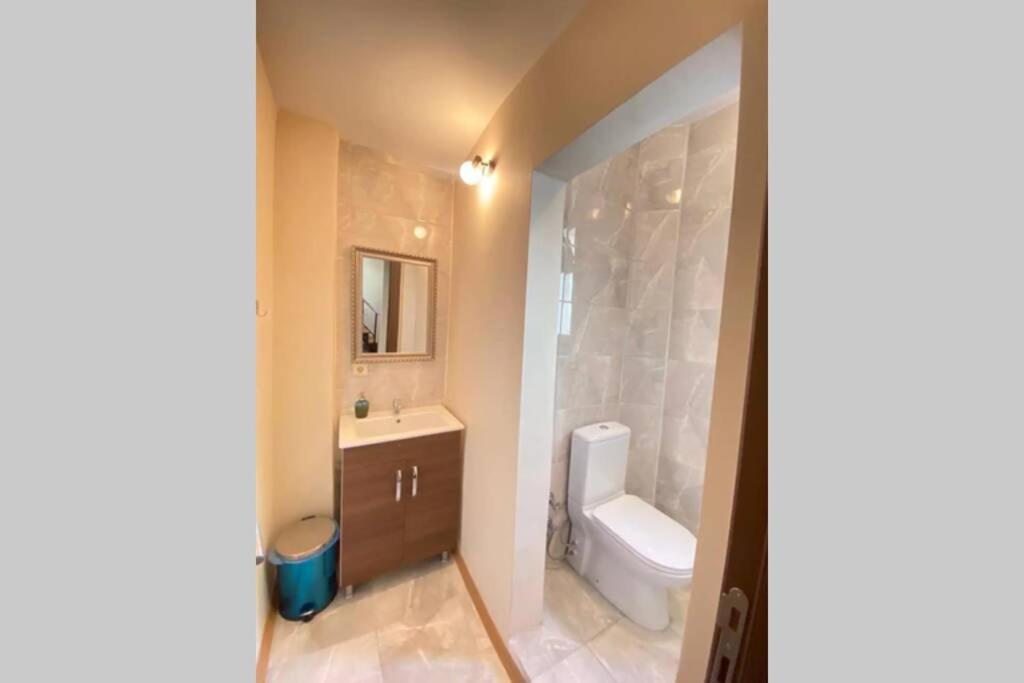 Duplex Suite Sultanahmet Стамбул Экстерьер фото